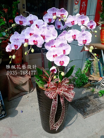 追思喜慶蘭花盆栽花壇花店，溪州花店