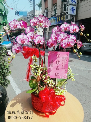 南投縣草屯鎮花店，南投縣集集鎮花店，開店蘭花盆栽南投縣名間鄉花店