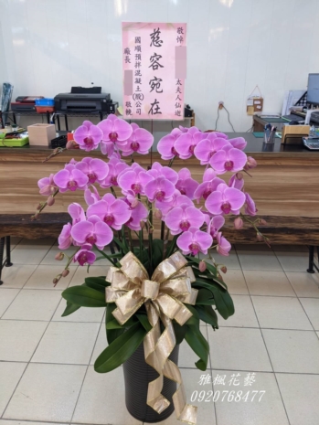 喪禮蘭花盆栽永靖花店&埤頭花店公祭蘭花盆栽